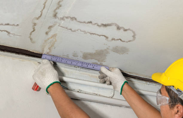 Reliable Burst Pipe Cleanup contractor in Wilbur, WA by Water Damage Irwin